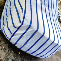 (چادر ماشین) (چادر ماشین) فونیکس و دنا