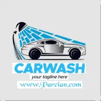 دفتر دار واسه کارواش