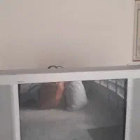 یک دستگاه تلویزیون سونی ۲۹