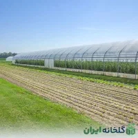 فروش زمین کشاورزی سند دار دیوارکشی|فروش دفتر صنعتی، کشاورزی، تجاری|کهنوج, |دیوار