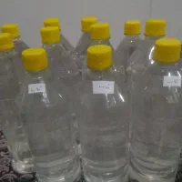 گلاب امسالی خوش عطر