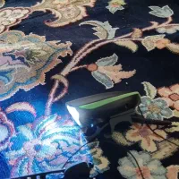 چراغ بوق دار