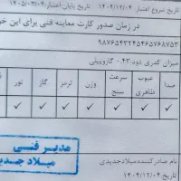معاینه فنی ماشین های سنگین و نیمه سنگین