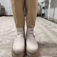 بوت