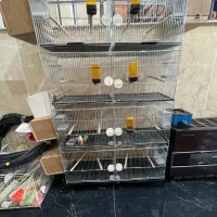 قفس کامل درحد