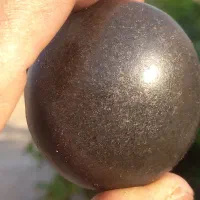 سنک سیاه کبری