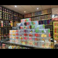 ویزیتوری تنب/اکو