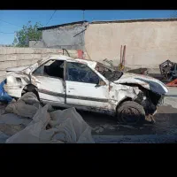 پژوپارس تصادفی