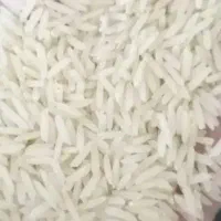 برنج دم سیاه ویسیان