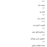 پلو پز مخصوص جهیزیه نو زیر قیمت گزاشتم بره|سایر لوازم برقی|ری, دیلمان|دیوار