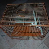 دانه پرنده|لوازم جانبی حیوانات|محمدشهر, ولدآباد|دیوار