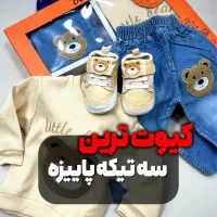 سه تیکه پاییزه جعبه ای