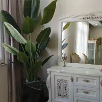 درختچه مصنوعی نو ۲مترونیم|گل مصنوعی|محمدشهر, محمدشهر|دیوار