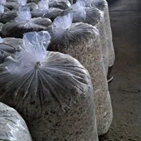 تفاله چغندر میاندوآب