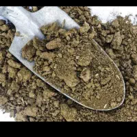 خریدار کود گاوی پوسیده پودری چند ساله خشک