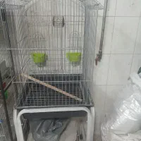 قفس فانتیزی عروس کاسکو
