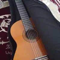 گیتار c40 نو