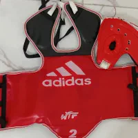 هوگو و کلاه تکواندو