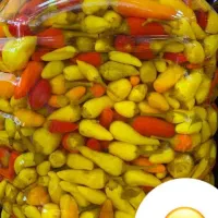 ترشی زیتون شوریجات خیارشور