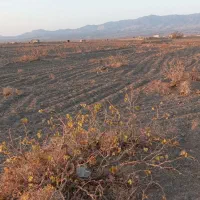 زمین|فروش زمین و ملک کلنگی|سبزوار, کراب|دیوار