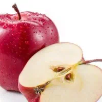 تولید نهال سیب ردچف|خدمات باغبانی و درختکاری|خلخال, |دیوار