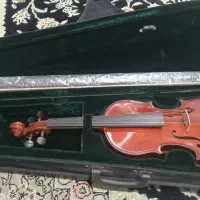 ویلن آک