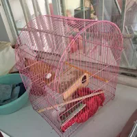 قفس پرنده|لوازم جانبی حیوانات|شاهدشهر, |دیوار