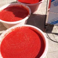 آبگیری گوجه وانگور در محل شما سیار