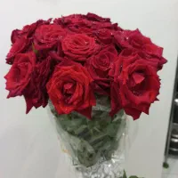 دسته گل طبیعی|گل و گیاه طبیعی|تهران, بهار|دیوار