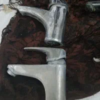 دوعدد شیر