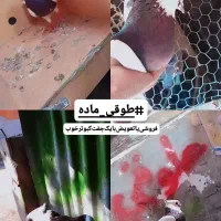 طوق‌ماده‌