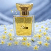 عطر الین(فروشگاه چی‌روز)|آرایشی، بهداشتی، درمانی|لردگان, |دیوار