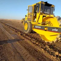 غلطک پاچه بزی