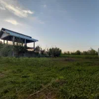 فروش زمین ۴۰۰ متری مسکونی (دو قطعه ۲۰۰ متری)