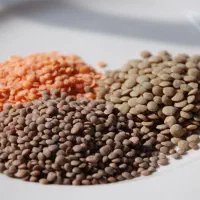 دال عدس منی ۲۵۰