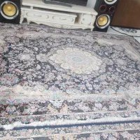 فرش دستباف گونه|فرش|اسلام‌شهر, شهرک قائمیه|دیوار