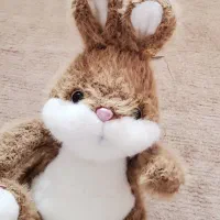 عروسک پولیشی