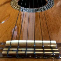 گیتار الحمرا 1c|گیتار، بیس، امپلیفایر|تبریز, |دیوار