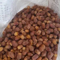 زاهدی امسال درجه یک