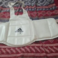 هوگو کاراته