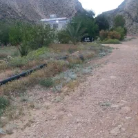 فروش زمین و باغ