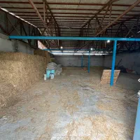 زمین چهار هزار متری سنددار|فروش زمین و ملک کلنگی|رشت, بلوار گیلان|دیوار