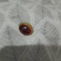 مهره سلیمانی