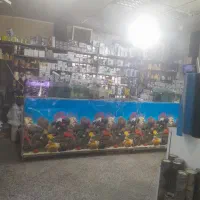 اکواریوم پلنت|ماهی|قم, نیروگاه|دیوار