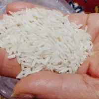 فروش برنج