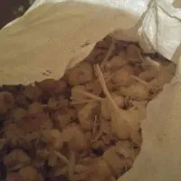 سلام سیر همدان  تو‌کیسه هستش ولی من پاکش کردم