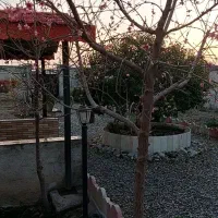 باغچه-500-متری