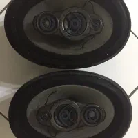 باند پایونیر۶۹۹۵