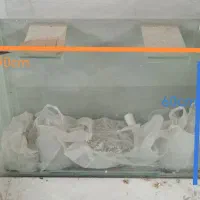 آکواریوم|کلکسیون و سرگرمی|محمدشهر, شهرک پیام (مهرالبرز)|دیوار