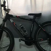 ویوا کوهستانی